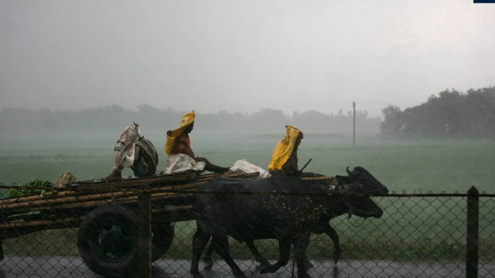 द न्यूज़ 100 डेस्क: Aaj Ka Mausam से जुड़ा समाचार चित्र