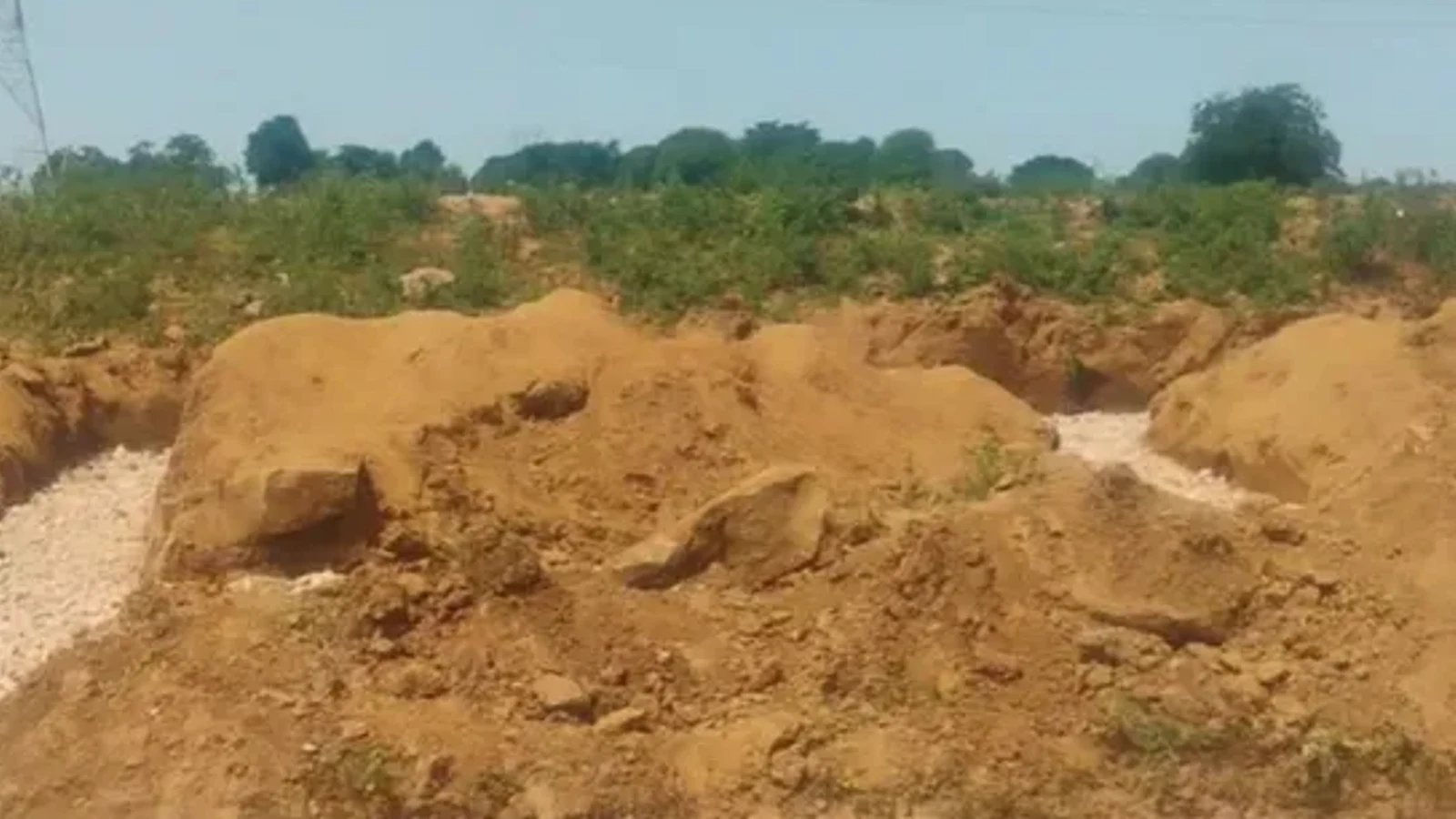 दिव्या मित्तल के वीडियो के बाद बनने लगा था मीरजापुर में स्कूल, अब वन विभाग ने लगाई रोक