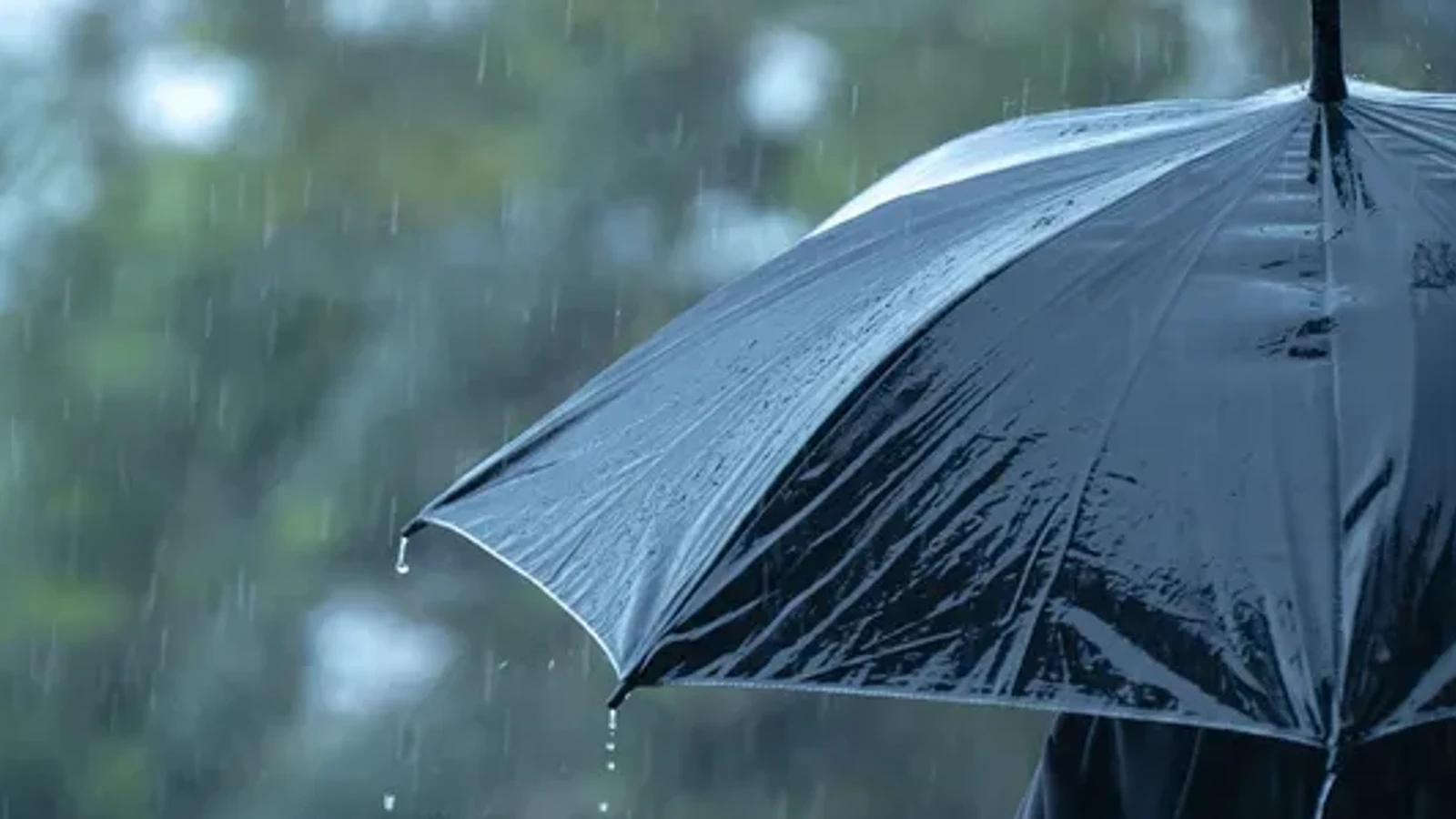 द न्यूज़ 100 डेस्क: मानसून की औपचारिक विदाई, सीजन में दर्ज हुई सामान्य से कम बारिश; अगले कुछ दिनों में बदलेगा मौसम का मिजाज से जुड़ा समाचार चित्र
