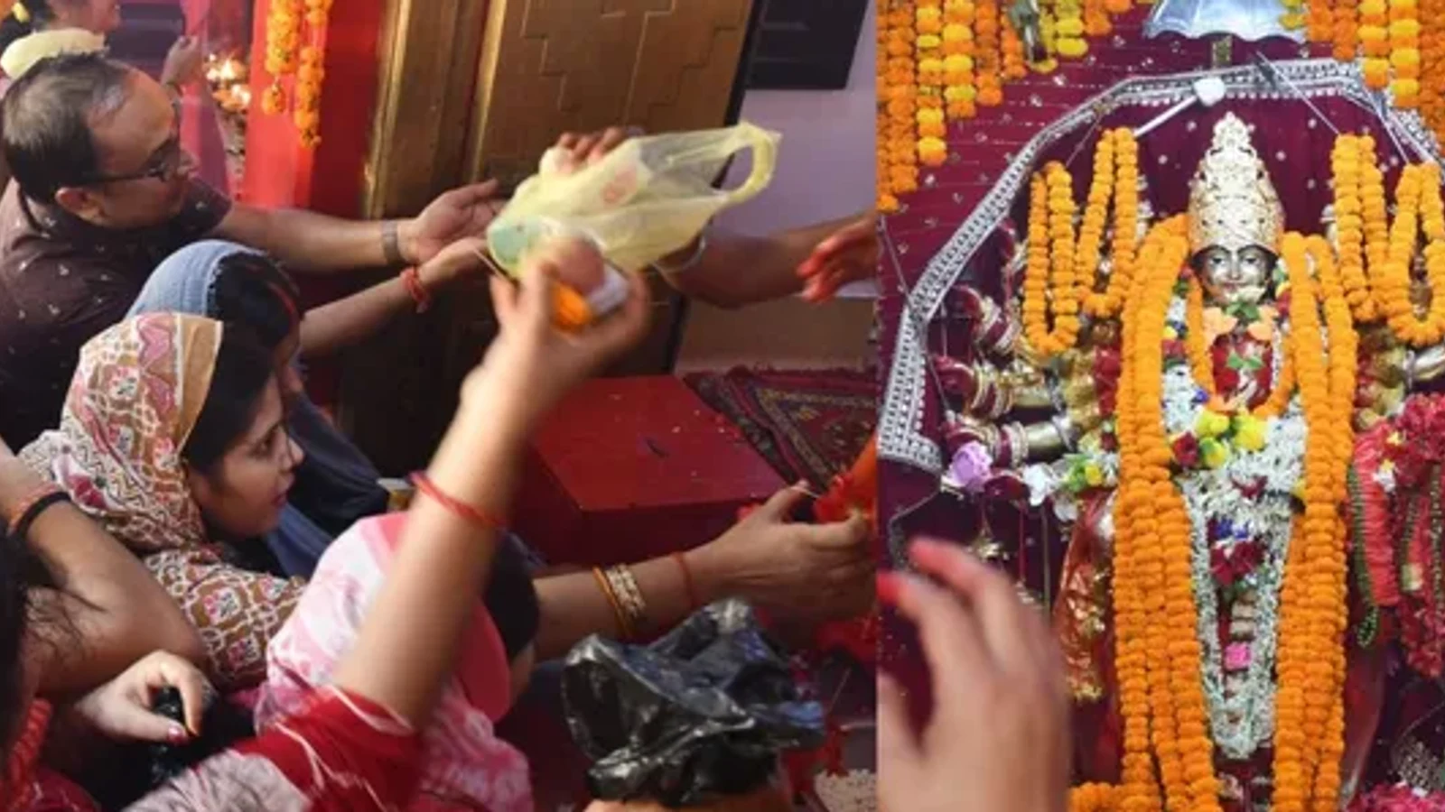 Shardiya Navratri 2026: किसानों के लिए शुभ संकेत लेकर आ रही हैं मां दुर्गा, गज पर आगमन की यह है मान्यता