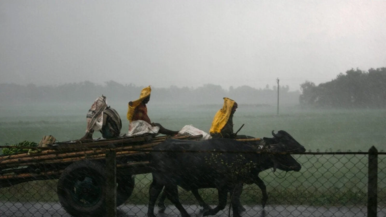 Aaj Ka Mausam: विदेशी चूरन बिगाड़ेगा बंगाल की खाड़ी का हाजमा, दिल्ली-उत्तर प्रदेश, बिहार में आंधी-बारिश, IMD ने चेता