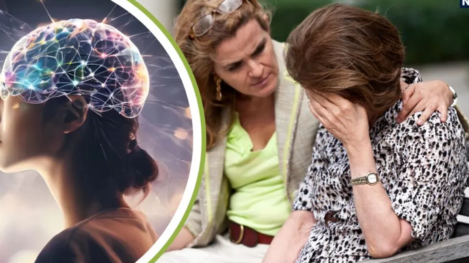 Brain Workout: याददाश्त होगी तेज, दिमाग रहेगा यंग; न्यूरोसाइंटिस्ट ने बताए नए ब्रेन सेल्स बनाने वाले 3 बे