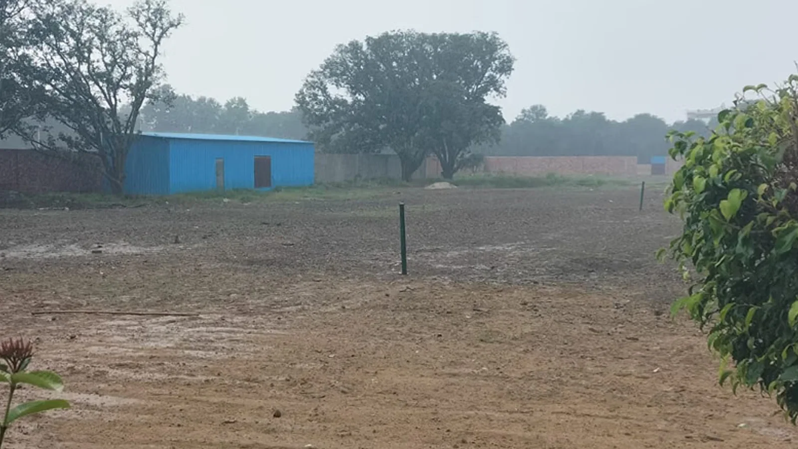 द न्यूज़ 100 डेस्क: Bulandshahar News से जुड़ा समाचार चित्र