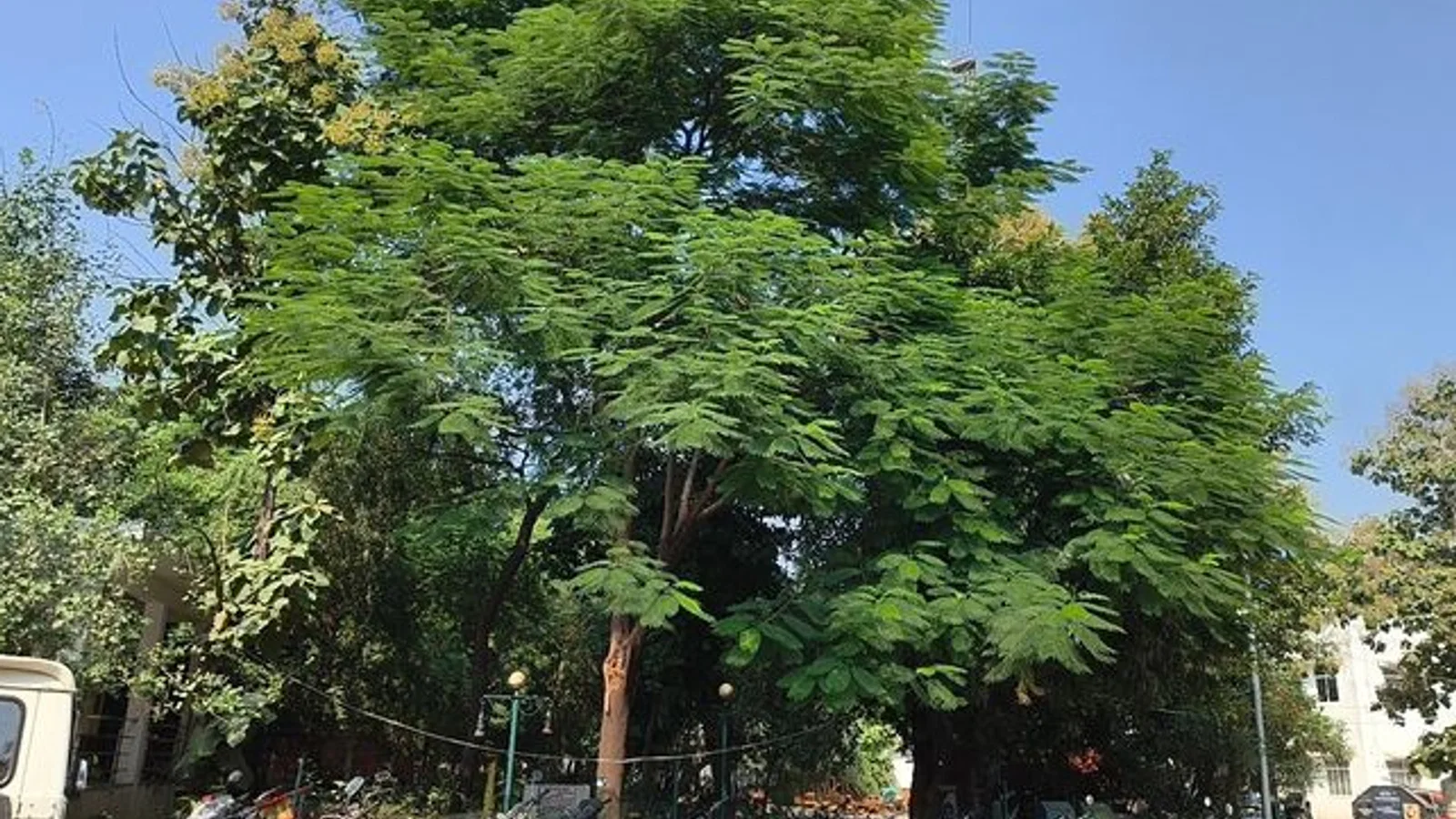 द न्यूज़ 100 डेस्क: दतिया में मानसून रिटर्न होने के बाद मौसम बदला से जुड़ा समाचार चित्र