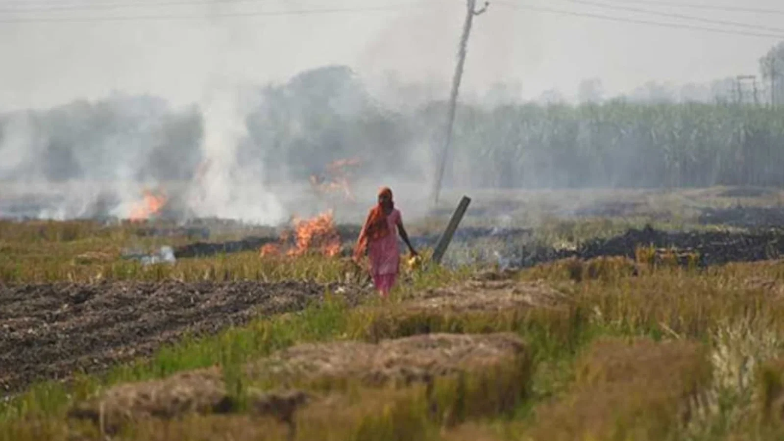 Delhi Government May Hike Agricultural Land Circle Rates After 18 Years