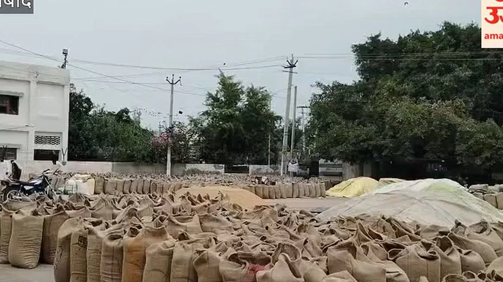 फतेहाबाद में मौसम बदला, खुले में पड़ा धान, तिरपाल से ढकने में जुटे व्यापारी