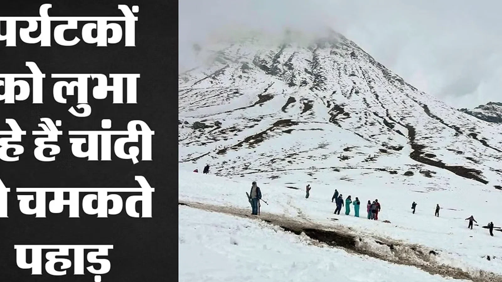 द न्यूज़ 100 डेस्क: हिमाचल से जुड़ा समाचार चित्र