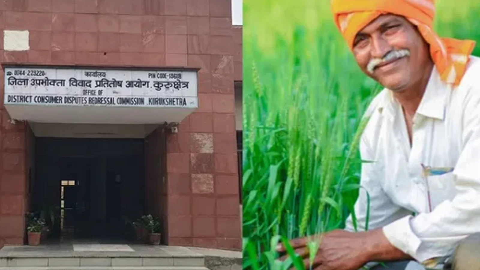 हरियाणा में गेहूं की फसल खराब होने पर किसान को मिलेगा 58 हजार रुपये से अधिक का मुआवजा, उपभोक्ता आयोग का बड़ा फैसला