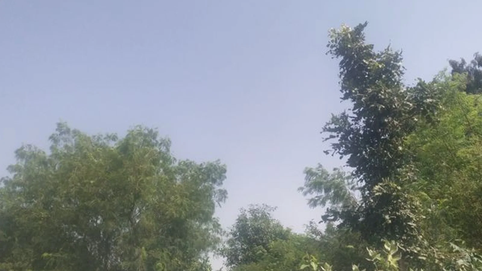 जावदा-निमड़ी में मौसम बदला, हल्की ठंड बढ़ी: न्यूनतम तापमान 20 डिग्री से नीचे, किसान रबी की बुवाई की तैयारी
