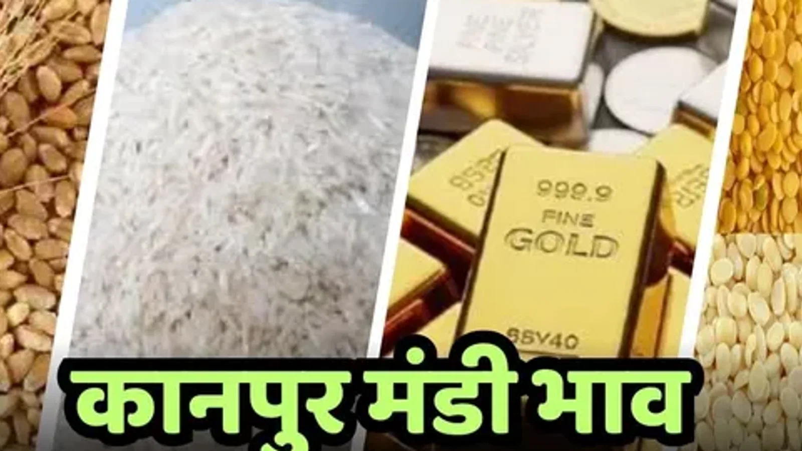 द न्यूज़ 100 डेस्क: Kanpur Mandi Bhav से जुड़ा समाचार चित्र