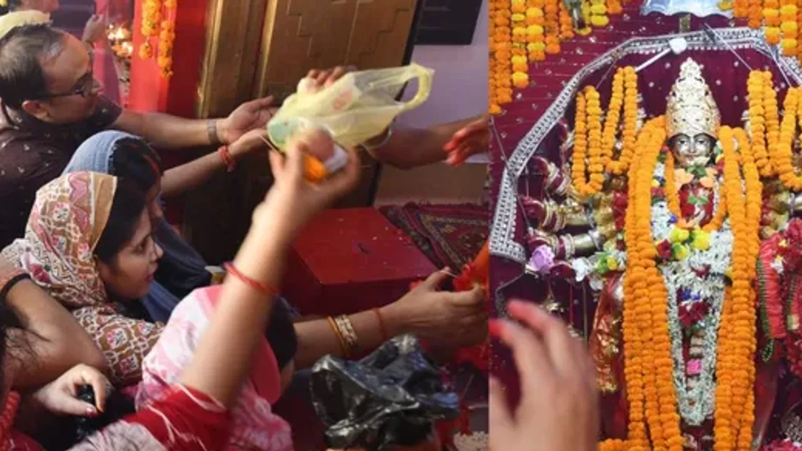 Shardiya Navratri 2026: किसानों के लिए शुभ संकेत लेकर आ रही हैं मां दुर्गा, गज पर आगमन की यह है मान्यता